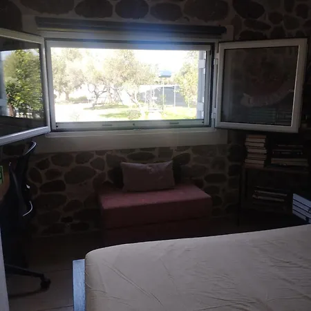 Olive Village *